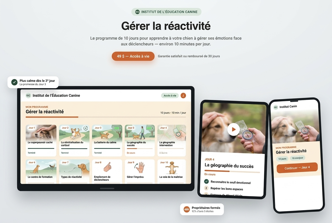 Le programme Gérer la réactivité sur tablette et en PDF